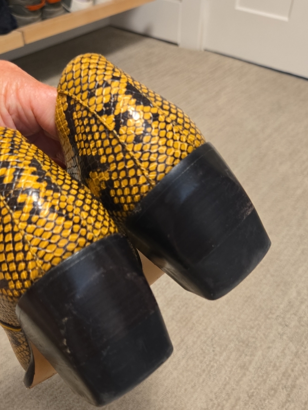Chloé Rylee Snake Embossed Leather Booties-Black/Yellow - Picture 12 of 15